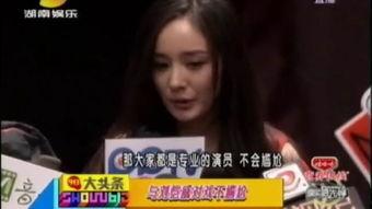 娱乐急先锋柳岩,娱乐急先锋，笑谈人生百态