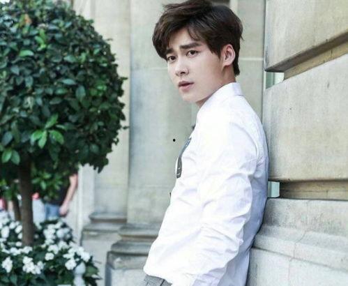 娱乐圈男明星叫峰,娱乐圈男明星的璀璨风采