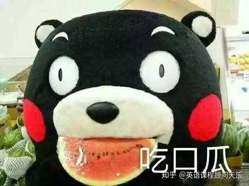 吃瓜群众英文热词的解释和意思,Unveiling the Buzz: Decoding the English Vocabulary of Gossipy Spectators