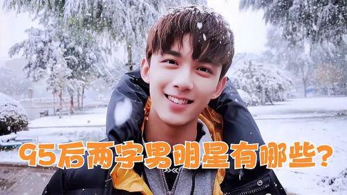 俩字男明星,揭秘俩字男明星的璀璨人生